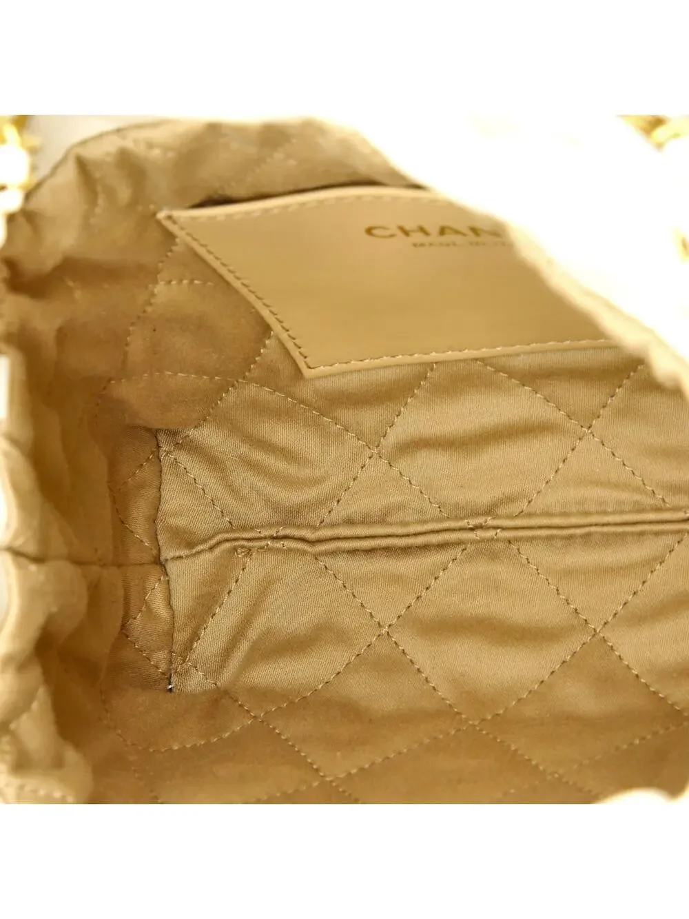Chanel 22 Chain Hobo Quilted Shaded #262273C45B